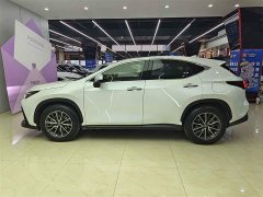 Lexus NX 260 front-wheel drive Chuangyue Edition - фото 7
