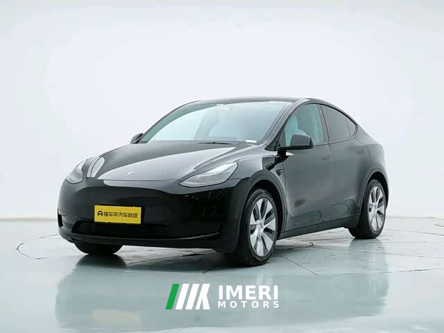 Tesla Model Y rear-wheel drive version - автомобиль из Китая