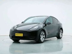 Tesla Model Y rear-wheel drive version - фото 1