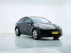 Tesla Model Y rear-wheel drive version - фото 2