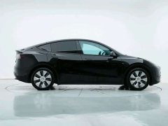 Tesla Model Y rear-wheel drive version - фото 7