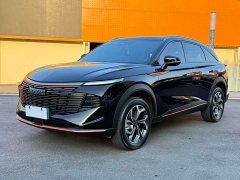 Haval Beast 1.5T Zhizun Edition - фото 1