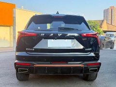 Haval Beast 1.5T Zhizun Edition - фото 11