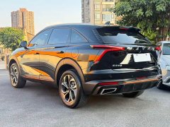 Haval Beast 1.5T Zhizun Edition - фото 12