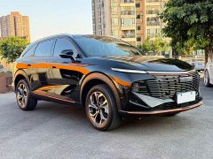 Haval Beast 1.5T Zhizun Edition - фото 3