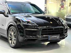 Porsche Cayenne S 2.9T Platinum Edition - фото 10