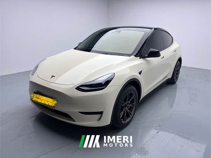 Tesla Model Y rear-wheel drive version - автомобиль из Китая