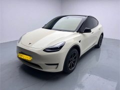Tesla Model Y rear-wheel drive version - фото 1