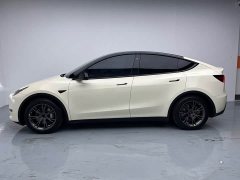 Tesla Model Y rear-wheel drive version - фото 11