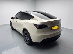 Tesla Model Y rear-wheel drive version - фото 6