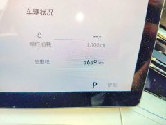 Lynk & Co Xingrui 2025 Dongfang Yao 1.5TD Kunlun Edition - фото 8
