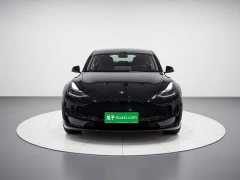 Tesla Model Y rear-wheel drive version - фото 2
