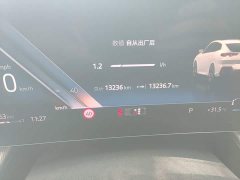 BMW X2 (Imported) sDrive25i M Sports Package - фото 8