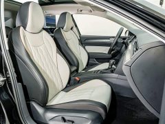 Volkswagen Magotan 30 million units selected 380TSI DSG luxury - фото 19