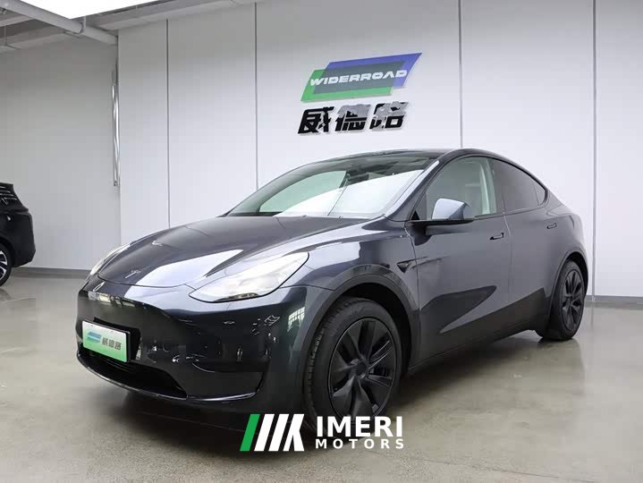 Tesla Model Y rear-wheel drive version - автомобиль из Китая