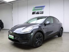 Tesla Model Y rear-wheel drive version - фото 1