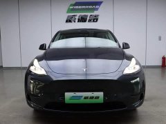 Tesla Model Y rear-wheel drive version - фото 2