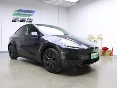 Tesla Model Y rear-wheel drive version - фото 3