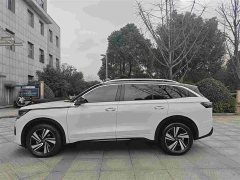 Lexus Lanxun 380TSI four-wheel drive R-Line cruise version - фото 4