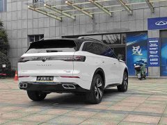 Lexus Lanxun 380TSI four-wheel drive R-Line cruise version - фото 7