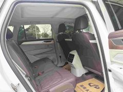 Lexus Lanxun 380TSI four-wheel drive R-Line cruise version - фото 9
