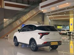 Lynk & Co Nezha V 2022 Chao 300 Industry Edition - фото 10