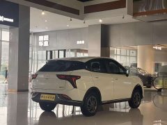 Lynk & Co Nezha V 2022 Chao 300 Industry Edition - фото 5