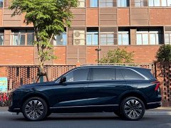 BYD Wei brand Lanshan 2023 two-wheel drive long range version - фото 5