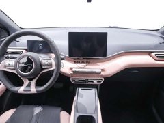 BYD Seagull Vitality Edition - фото 13