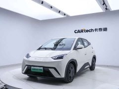 BYD Seagull Vitality Edition - фото 18