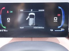BYD Seagull Vitality Edition - фото 20