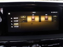 Hongqi Golden Sunflower Guoyao 4.0T elegant flag version 6 seats - фото 10