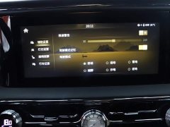 Hongqi Golden Sunflower Guoyao 4.0T elegant flag version 6 seats - фото 11