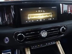 Hongqi Golden Sunflower Guoyao 4.0T elegant flag version 6 seats - фото 12