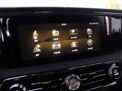 Hongqi Golden Sunflower Guoyao 4.0T elegant flag version 6 seats - фото 13