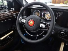 Hongqi Golden Sunflower Guoyao 4.0T elegant flag version 6 seats - фото 14