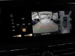 Hongqi Golden Sunflower Guoyao 4.0T elegant flag version 6 seats - фото 9
