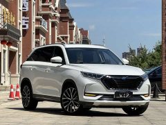 Changan Auchan X7 1.5T automatic pilot - фото 3