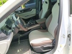 BYD Qin PLUS Honor Edition DM-i 55KM Leading Type - фото 11