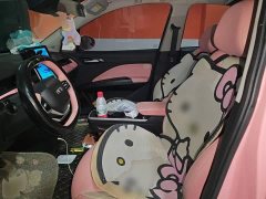 Lynk & Co Nezha V Chao 400 Lite pink customized - фото 11