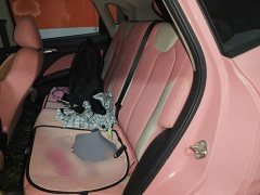 Lynk & Co Nezha V Chao 400 Lite pink customized - фото 13