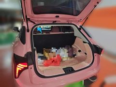 Lynk & Co Nezha V Chao 400 Lite pink customized - фото 15