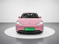 Lynk & Co Nezha V Chao 400 Lite pink customized - фото 2