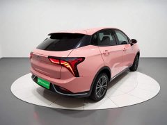 Lynk & Co Nezha V Chao 400 Lite pink customized - фото 4