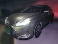 Lexus RX 2021 300 four-wheel drive special edition - фото 1
