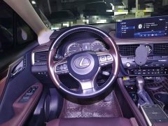 Lexus RX 2021 300 four-wheel drive special edition - фото 11