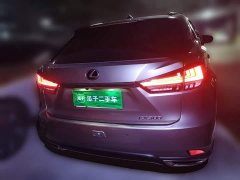 Lexus RX 2021 300 four-wheel drive special edition - фото 5
