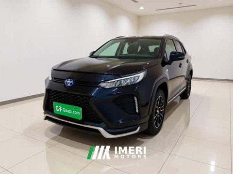 2021 Wildlander PHEV 2021 High Performance Edition 2.5L 2WD Dynamic Version - автомобиль из Китая