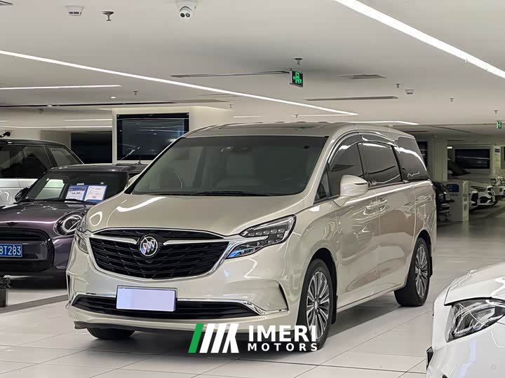 Buick GL8 ES Luzun 653T luxury - автомобиль из Китая