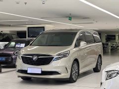 Buick GL8 ES Luzun 653T luxury - фото 1
